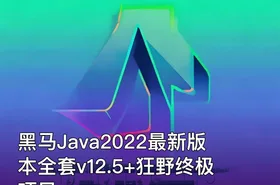 黑马Java2022最新版本全套v12.5+狂野终极项目