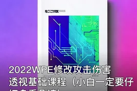 2022WPE修改攻击伤害透视基础课程（小白一定要仔细多看几遍）