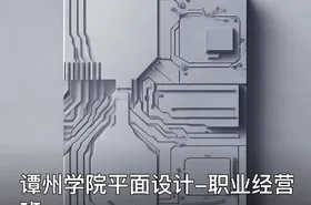 谭州学院平面设计-职业经营班
