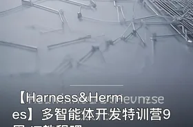 【Harness&Hermes】多智能体开发特训营9周 IT教程吧
