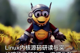 Linux内核源码研读与实战演练视频教程，资源失效