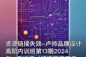 资源链接失效-卢帅品牌设计高阶内训班第13期2024年11月结课（超清画质带素材）