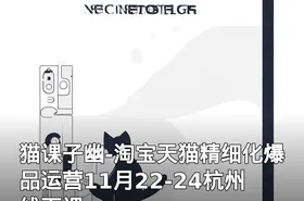 猫课子幽-淘宝天猫精细化爆品运营11月22-24杭州线下课