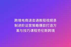跨境电商速卖通教程视频录制进阶运营策略爆款打造方案与技巧课程劳伦斯跨境