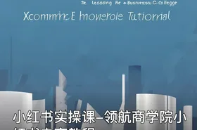 小红书实操课-领航商学院小红书电商教程