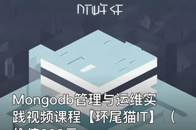 Mongodb管理与运维实践视频课程【环尾猫IT】（