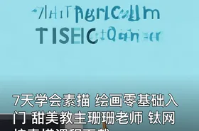 7天学会素描 绘画零基础入门 甜美教主珊珊老师 钛网校素描课程下载
