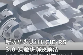 新版华为认证HCIE-RS 3.0 实验讲解及解法 LAB TAS TS 全套视频