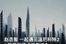 赵丞智 一起遇见温尼科特20节系列课【已完结】