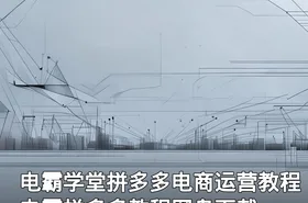 电霸学堂拼多多电商运营教程 电霸拼多多教程网盘下载