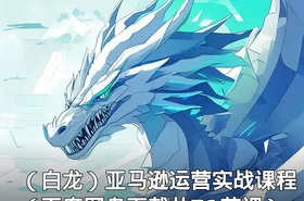 （白龙）亚马逊运营实战课程（百度网盘下载共71节课）