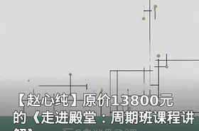 【赵心纯】原价13800元的《走进殿堂：周期班课程讲解》