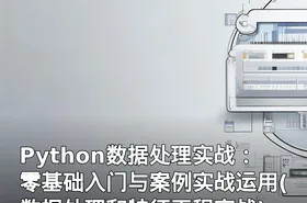 Python数据处理实战：零基础入门与案例实战运用(数据处理和特征工程实战)