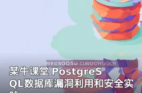 某牛课堂 PostgreSQL数据库漏洞利用和安全实践
