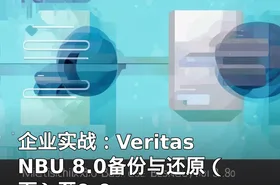 企业实战：Veritas NBU 8.0备份与还原（下）至9.0