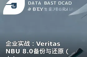 企业实战：Veritas NBU 8.0备份与还原（上）