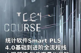 统计软件Smart PLS 4.0基础到进阶全流程线上视频课 张伟豪量化学院