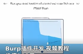 Burp插件开发 视频教程
