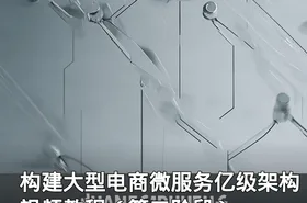 构建大型电商微服务亿级架构视频教程（第二阶段）