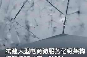 构建大型电商微服务亿级架构视频课程（第一阶段）
