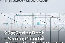 20天SpringBoot+SpringCloud前后端分离的大型在线教育实战项目