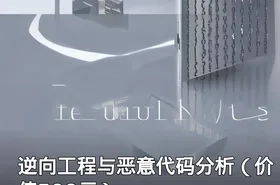 逆向工程与恶意代码分析（）