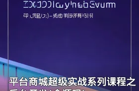 平台商城超级实战系列课程之后台开发(含源码)