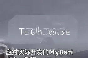 应对实际开发的MyBatisPlus教程
