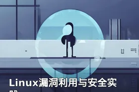 Linux漏洞利用与安全实践