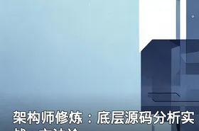 架构师修炼：底层源码分析实战+方法论