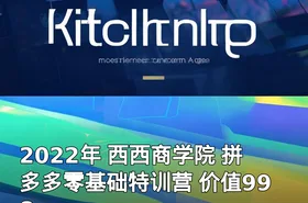 2022年 西西商学院 拼多多零基础特训营 价值998