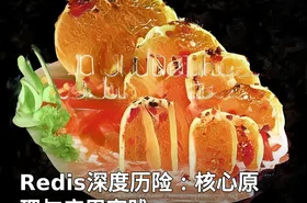 Redis深度历险：核心原理与应用实践