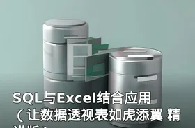 SQL与Excel结合应用（让数据透视表如虎添翼 精讲版）