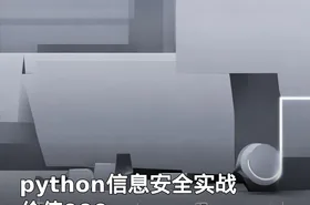 python信息安全实战 价值999