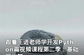跟着王进老师学开发Python篇视频课程第二季：基础强化篇