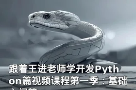 跟着王进老师学开发Python篇视频课程第一季：基础入门篇