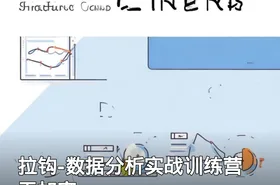 拉钩-数据分析实战训练营 无加密