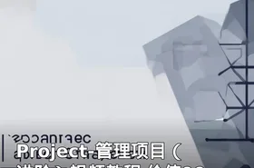 Project-管理项目（进阶）视频教程 价值99