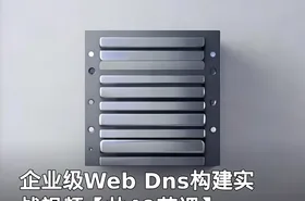 企业级Web Dns构建实战视频【共49节课】