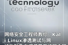 网络安全工程师教你：Kali Linux渗透测试与网络攻防及白帽子黑客编程全程课