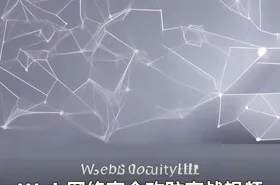 Web网络安全攻防实战视频