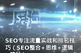 SEO专注流量实战和排名技巧（SEO整合+思维+逻辑+建站）