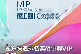 逆东快速排名实战讲解VIP教程