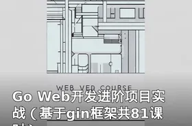 Go Web开发进阶项目实战（基于gin框架共81课时）