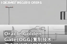 Oracle GoldenGate(OGG)复制技术完全解析精讲视频课程