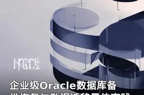 企业级Oracle数据库备份恢复与数据迁移最佳实践