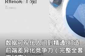 数据可视化入门到精通-打造前端差异化竞争力（完整全套无加密）