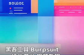 黑客工具 Burpsuite 插件开发 视频教程