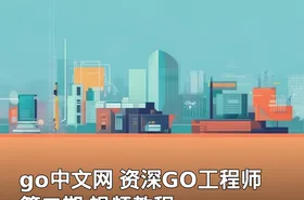 go中文网 资深GO工程师 第二期 视频教程