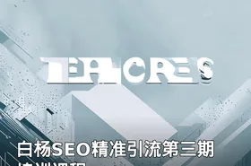 白杨SEO精准引流第三期 培训课程